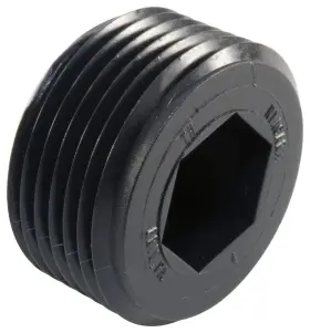 ZTH111KA1 CAPLUGS Hex Socket Plug Hdpe Thread ZTH111KA1 CAPLUGS Hex Socket Plug Hdpe Thread