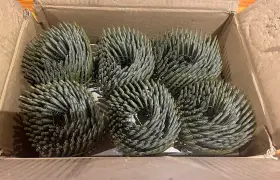 12707H HITACHI Wire Coil Round Head Galvanized Framing Nails #3