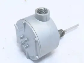 RRJHF0A024AB000 WATLOW Npt Probe