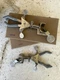 2 New In Box Mercer Glassworks Neverust Contort Clamp No. 5768 10 Nickel Plated