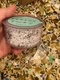 NEW CANOPY shower head replacement FILTER