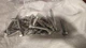 Hillman 230125 Lag Screws 1/2 X 3 Pkg of 31 Hillman 230125 Lag Screws 1/2 X 3 Pkg of 31