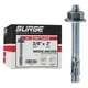 Surge BP - 3/8" X 3" Zinc-Plated Wedge Anchors for Concrete and Cement | Heav...