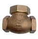 United Brass-Randleman N.C. 2"NPT, Swing Check Valve World Water System, 200 WSP
