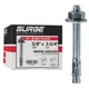 Surge BP - 3/8" x 3-3/4" Zinc-Plated Wedge Anchors for Concrete and Cement | ...