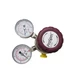PROSPEC DUAL GUAGE AIR PRESSURE OXYGEN REGULATOR PRS30223301