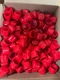 20 Vinyl Pipe End Caps 1.25" Caplugs VC-1125-16 RED Thread Protector Dust