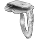  AVC.AP12134 AUVECO AP12134 Trim Panel Fastener, 5/16 in Hole, Zinc