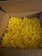 1000 Pk Caplugs PE-LD01 YEL002, Caplugs Caps, Tapered Caps, Plugs Wide Yellow 1000 Pk Caplugs PE-LD01 YEL002, Caplugs Caps, Tapered Caps, Plugs Wide Yellow