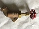 NEW 3/4" NPT United RANDLEMAN BLOWDOWN Valve,BLOW DOWN Valve 200 WSP,AJ,AM
