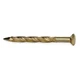 Zoro Select Nail, Brass, 1 1/4 In L, PK2 Zoro Select Nail, Brass, 1 1/4 In L, PK2