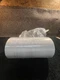 Habasit NAB-12EEDV 11 HabaFLOW 17" W x 458" Conveyor Belt Flexcut Ends