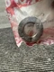 C-062-S Climax - 5/8" ID Set Screw Collar SS