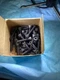 Kerr 25C100KCS 1/4-20 x 1 3/4/SKT CAP SCNSocket Head Cap Screw Lot Of 45