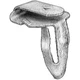  AVC.12134 AUVECO 12134 Trim Panel Fastener, 5/16 in Hole, Zinc