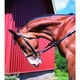 Horze Leather Side Reins With Rubber Donuts