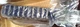 NEW Tsubaki RS40-2-RP-U Double Strand Roller Chain 10ft 240 Links W/ MASTER LINK