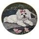 Danbury Mint "Cooling Off" Limited Edition Plate #B4365 by Michele Amatrula.