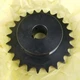 Tsubaki 50B24F-1 Finished Bore Type B Single Pitch Roller Chain Sprocket, 1 in 